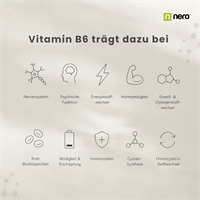 Nero Vitamin B6 Pyridoxin 10 mg (180 Tabletten)